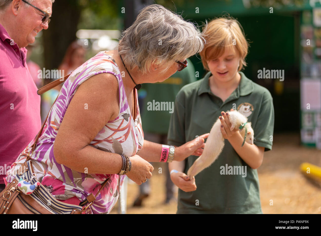 Femme de caresser un furet blanc à un furet d'un pays à l'événement de course juste dans le Hampshire Banque D'Images