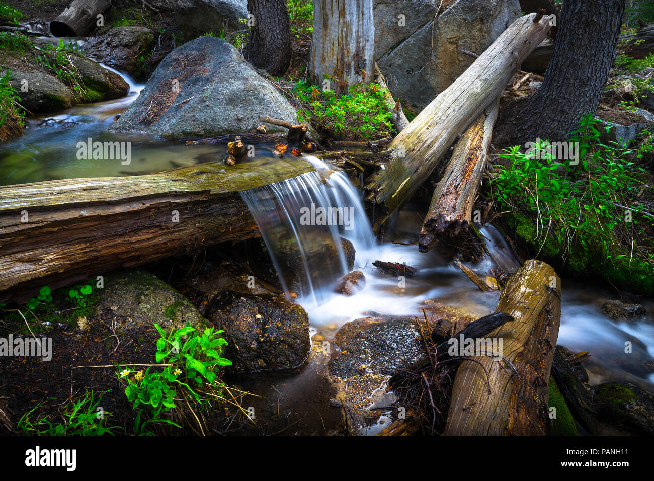 Le journal fluide parfait Budd Creek - Cathedral Lakes Sentier de randonnée dans le Parc National Yosemite. Banque D'Images