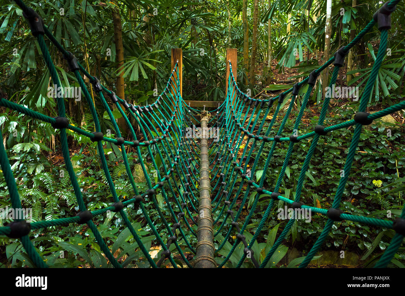 Turqouise tyrolienne, pont suspendu au-dessus d'un petit canyon dans Hindhede Nature Park, Singapore Banque D'Images
