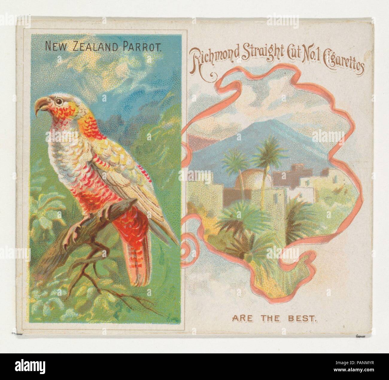 Perroquet de Nouvelle-Zélande, d'oiseaux des tropiques série (N38) pour Allen & Ginter Cigarettes. Fiche Technique : Dimensions : 2 7/8 x 3 1/4 in. (7,3 x 8,3 cm). Lithographe : George S. Harris & Sons (Américain, Philadelphie). Editeur : Publié par Allen & Ginter (Américain, Richmond, Virginie). Date : 1889. Les cartes commerciales de la 'oiseaux des tropiques" (N38), publié en 1889 dans un jeu de 50 cartes pour promouvoir Allen & Ginter cigarettes d'une marque. Cette série est une version plus grande de la "oiseaux des tropiques' set (N5), y compris la petite carte correspondante avec la conception d'autres images ajoutées. Musée : Moi Banque D'Images