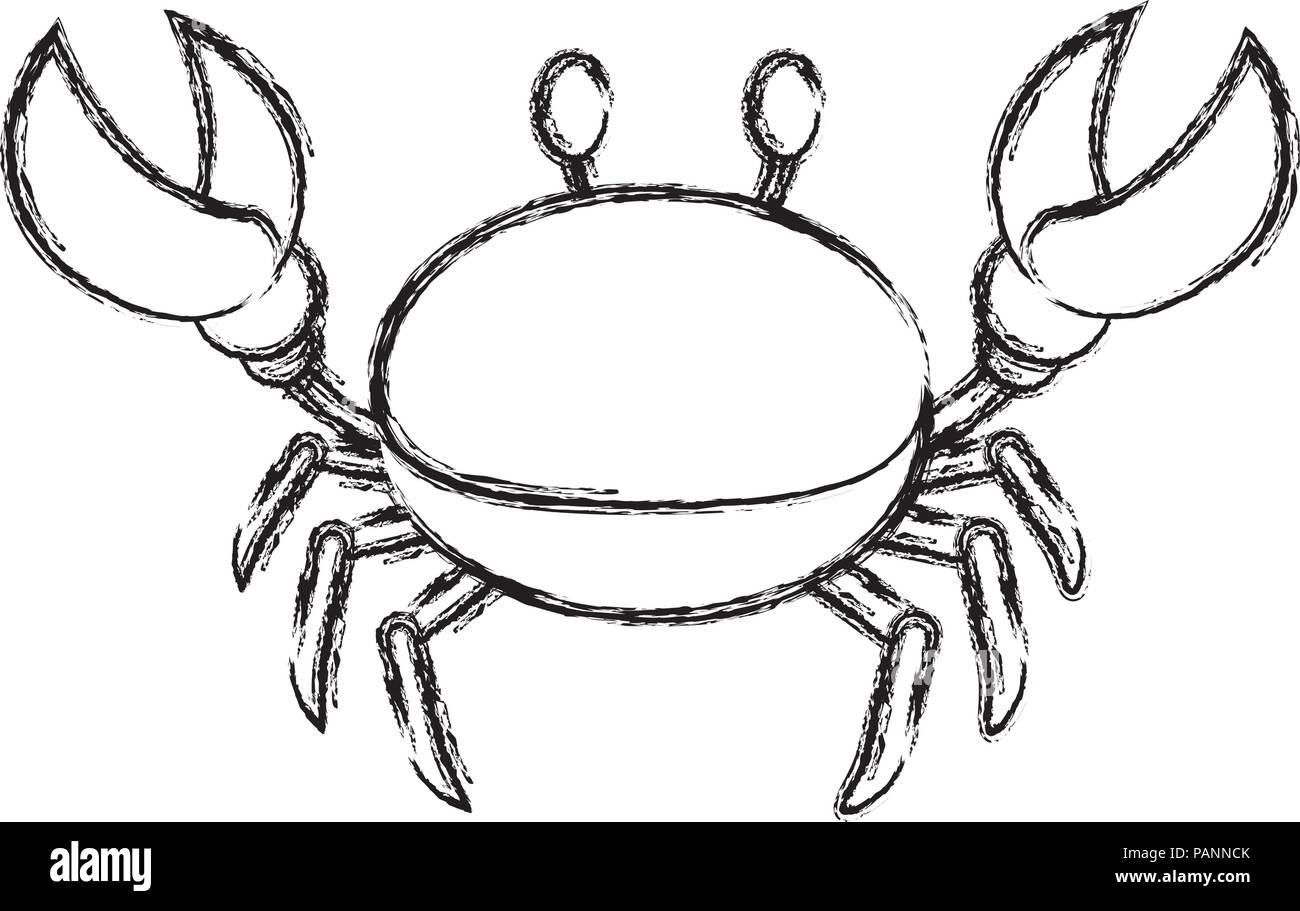 Grunge mignon des animaux tropicaux crabe de mer Illustration de Vecteur