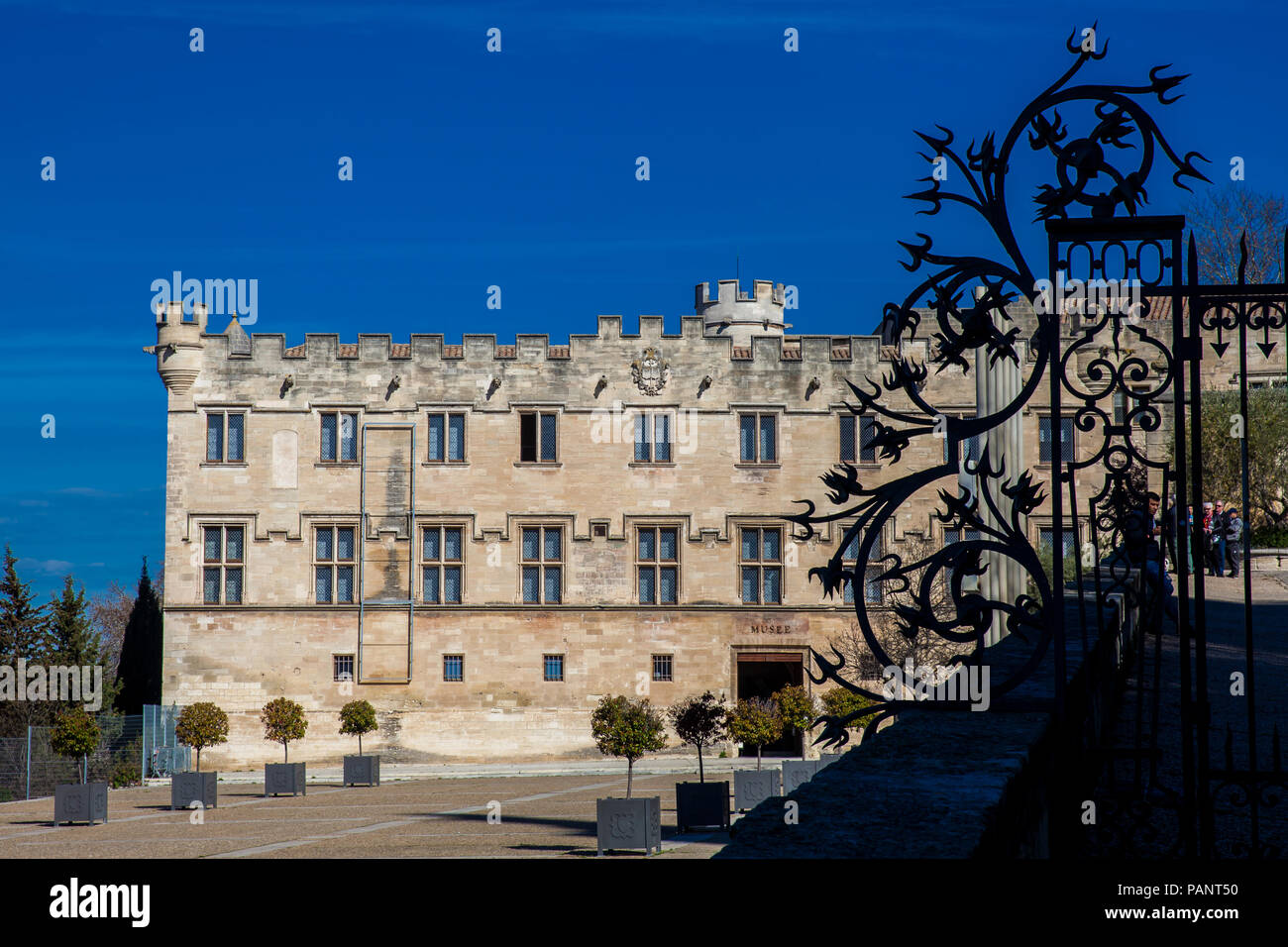 Musée du Petit Palais à Avignon France Banque D'Images