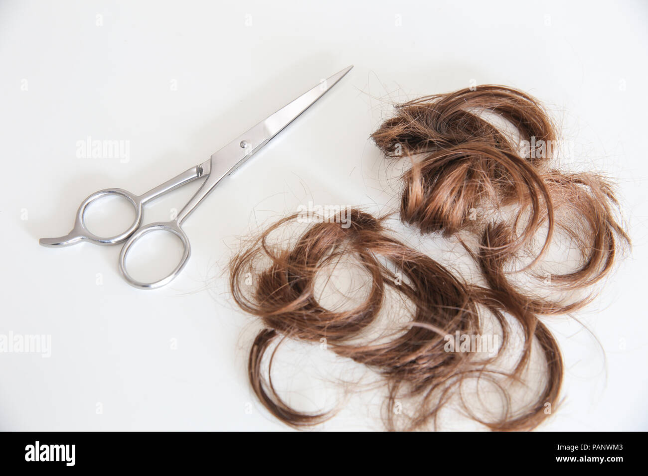 Ciseaux coupe et des mèches de cheveux dans un fond blanc Banque D'Images