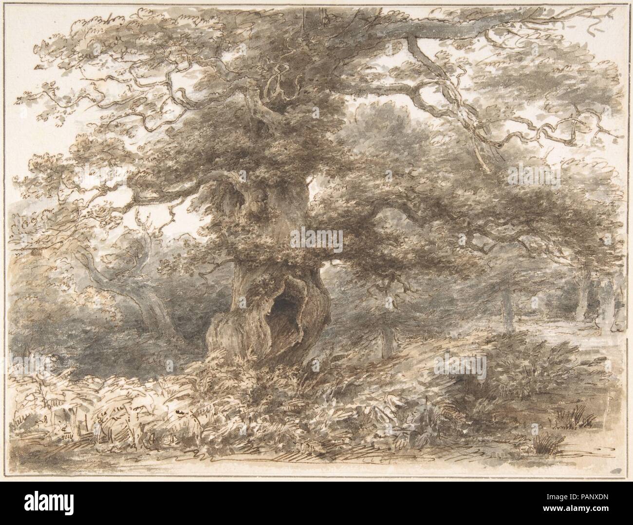 Dans le parc à Packington. Artiste : Heneage Finch, 4e comte d'Aylesford (British, Syon House 1751-1812 Grand Packington, Warwickshire). Fiche technique : Dimensions : 8 3/8 x 11 in. (21,3 x 27,9 cm). Date : 1770-1812. En tant qu'homme actif et patron de British institutions culturelles, Aylesford était aussi un amateur doué. Avant qu'il soit devenu comte en 1777, l'artiste a étudié le dessin comme un diplôme à Oxford. L'encre solide énonce et assuré l'application de lavage à cette maturité dimensions suggèrent une date dans le milieu-1780s. Précédents italien influencé son coup de crayon, mais son expression Banque D'Images