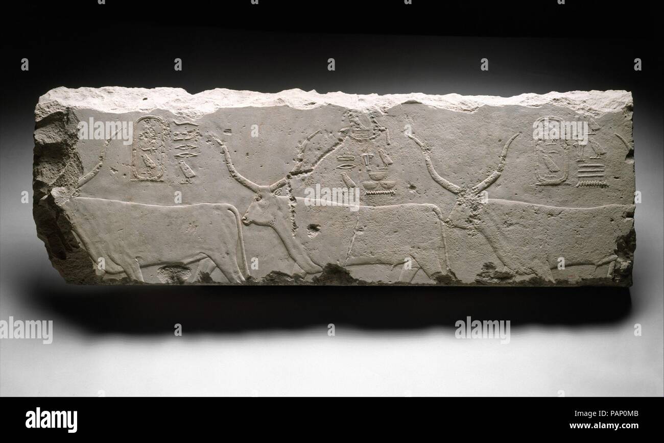 Fragment de relief avec le roi Khufu pour les bovins. Dimensions : H. 46 cm (18 1/8 in.) ; W. 137,5 cm (54 1/8 in.) poids estimé à 290 lb (131,5 kg). Dynastie DYNASTIE : 4. Règne : règne de Chéops. Date : ca. 2551-2528 av. J.-C.. Ces bovins, avec de longues cornes en forme de lyre sont probablement des offrandes pour le culte funéraire de Chéops. Ces bovins ont été regroupés en troupeaux qui paissent dans les prairies ouvertes dans le Delta du Nil ou à la marge du désert. Les inscriptions à leur dos mentionner le nom du pharaon mais qui sont autrement difficiles à traduire ; ils semblent renvoyer aux régions ou pays étrangers. L'austère mais très sensible Banque D'Images