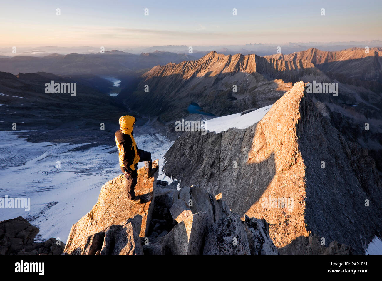 Autriche, Tyrol, Alpes de Zillertal, vue d'Reichenspitze au grimpeur, montagnes glaciaires au lever du soleil, Wildgerlostal, Parc National du Haut Tauern Banque D'Images