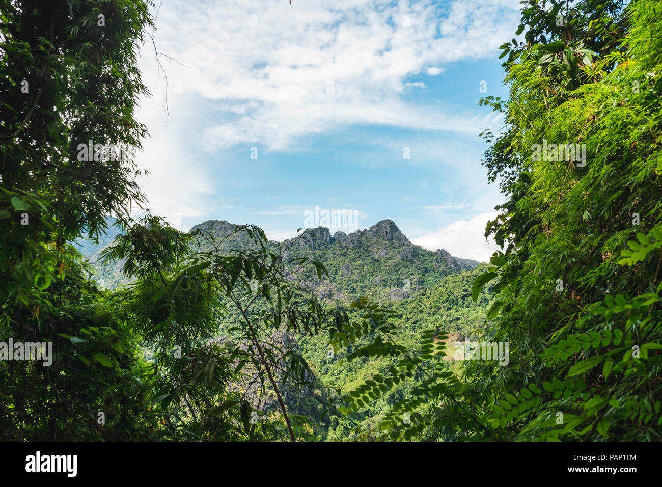 Le Laos, Vang Vieng, jungle paysage avec mountain Banque D'Images