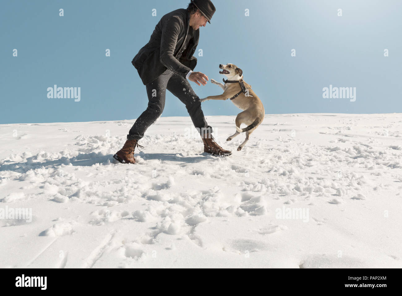 Man Playing with dog en hiver, dans la neige Banque D'Images