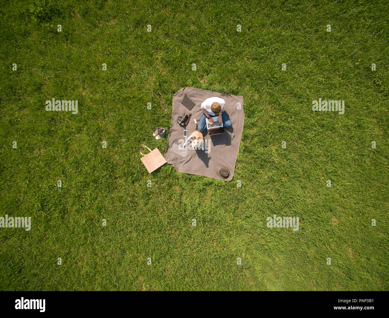 Bird's Eye View of woman sitting on blanket sur prairie avec chien using laptop Banque D'Images