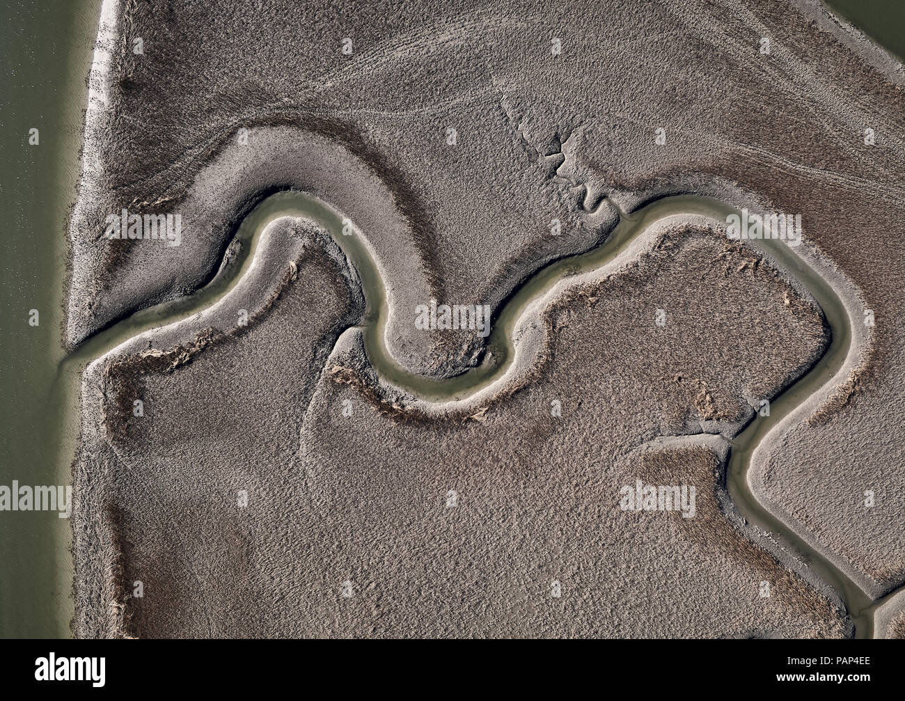 USA, Virginie, vue aérienne de la côte de Virginie, marais de la réserve Banque D'Images