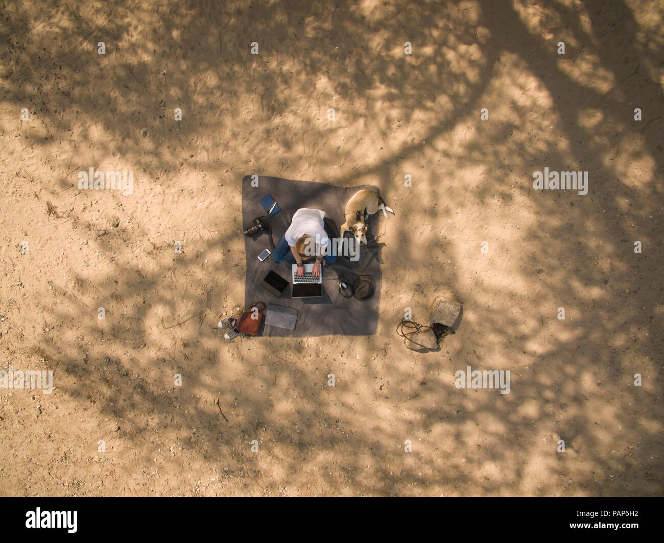 Bird's Eye View of woman sitting on blanket with dog using laptop Banque D'Images