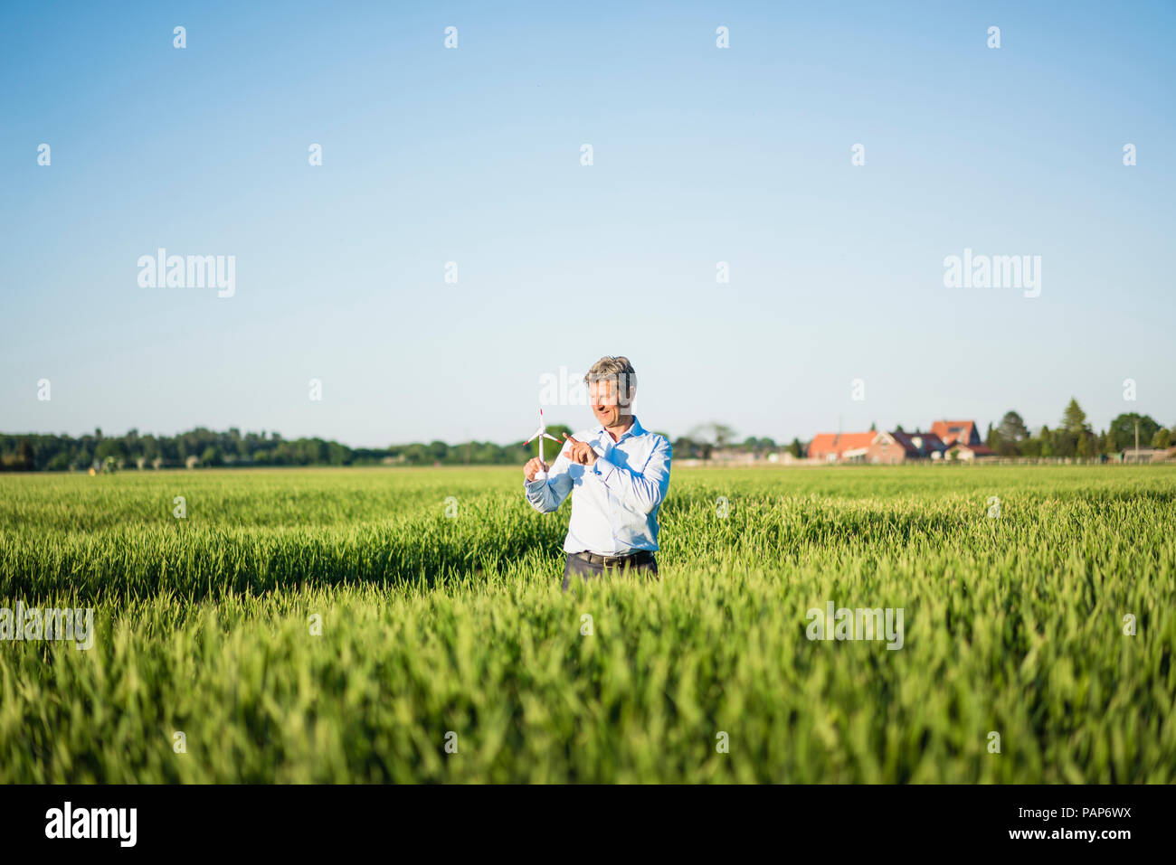 Businessman standing in grain field, holding de la roue éolienne miniature Banque D'Images Businessman standing in grain field, holding de la roue éolienne miniature Banque D'Images