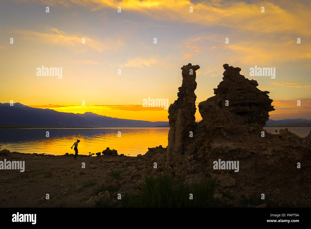 Lac Mono Tufas sous un soleil d'or Banque D'Images