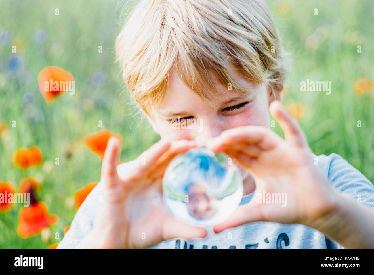 Boy holding tansparent sphère en champ de coquelicots Banque D'Images