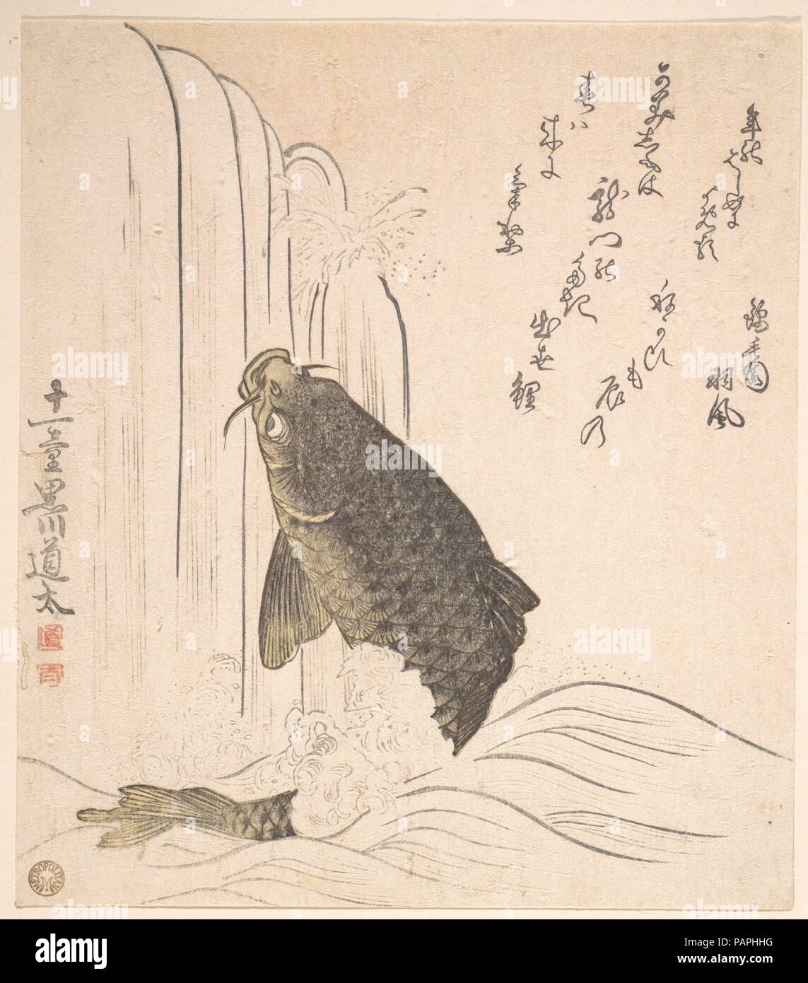 Essayer de carpes nager jusqu'à une cascade. Artiste : Kurokawa Michita (Japonais, actif au début du 19ème siècle). Culture : le Japon. Dimensions : 8 1/16 x 7 1/16 in. (20,5 x 17,9 cm). Date : 1820 probablement. Musée : Metropolitan Museum of Art, New York, USA. Banque D'Images