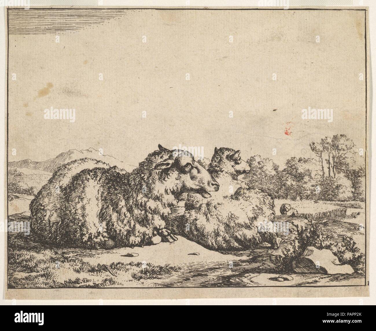 Les moutons, à partir d'un ensemble de 16 planches. Artiste : Marcus de Bye (néerlandais, La Haye, 1639-après 1688). Fiche technique : Dimensions : 4 1/2 x 5 7/16 in. (11.2 x 14 cm). Date : 1664. Musée : Metropolitan Museum of Art, New York, USA. Banque D'Images