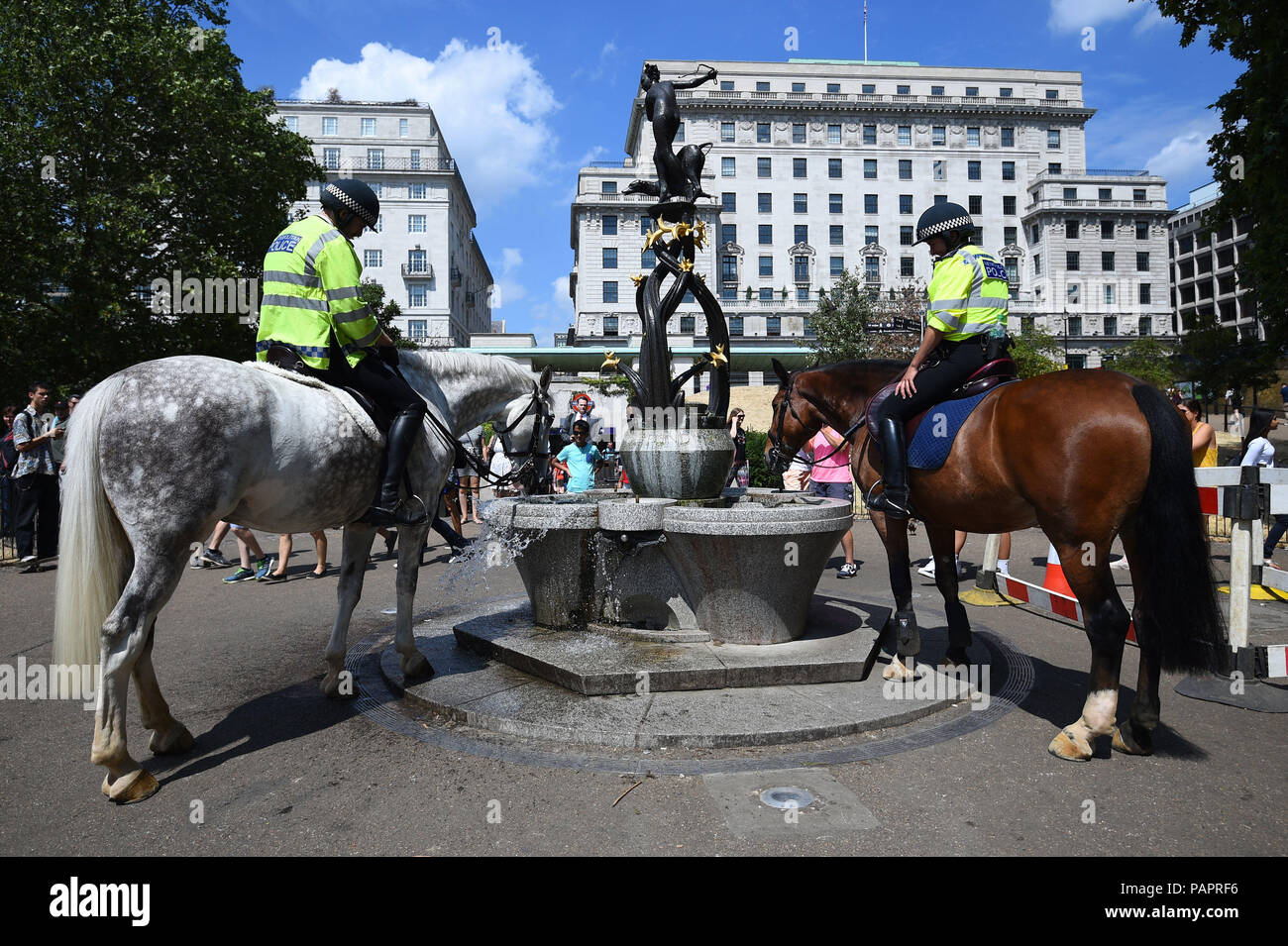 Les agents de police de l'eau leurs chevaux dans Green Park à Londres, comme le temps chaud continue à travers le pays. Banque D'Images