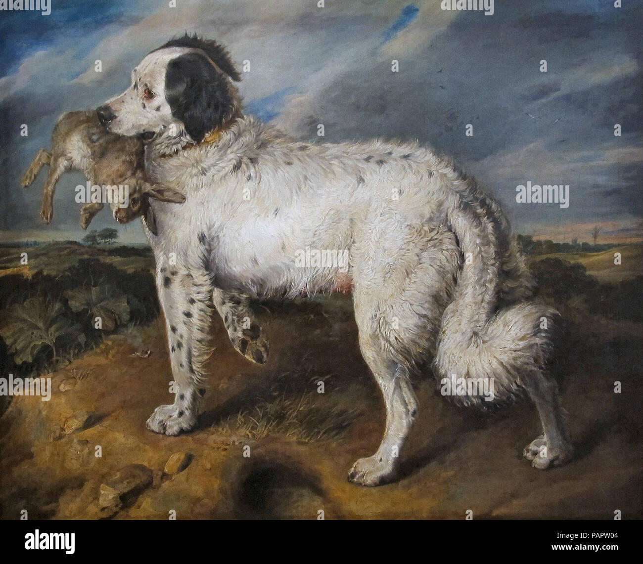 Sir Edwin Henry Landseer - le Champion (Vénus un Terre-neuve Landseer avec un lapin) Banque D'Images