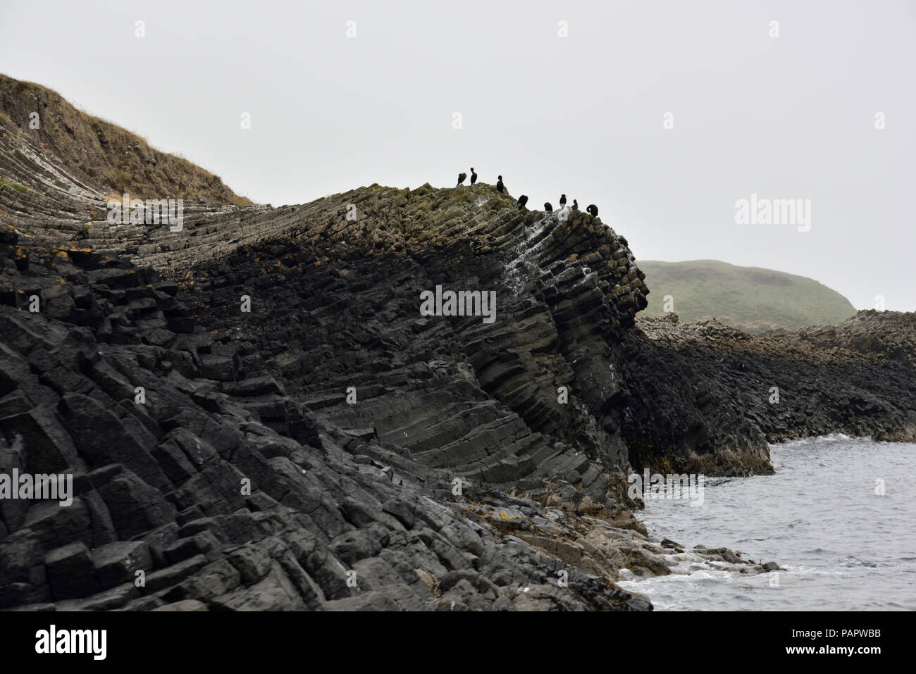 Vues depuis le bateau de l'île de Staffa y compris la Grotte de Fingal.et un groupe d'aigrettes dans le haut d'un rocher favori Banque D'Images