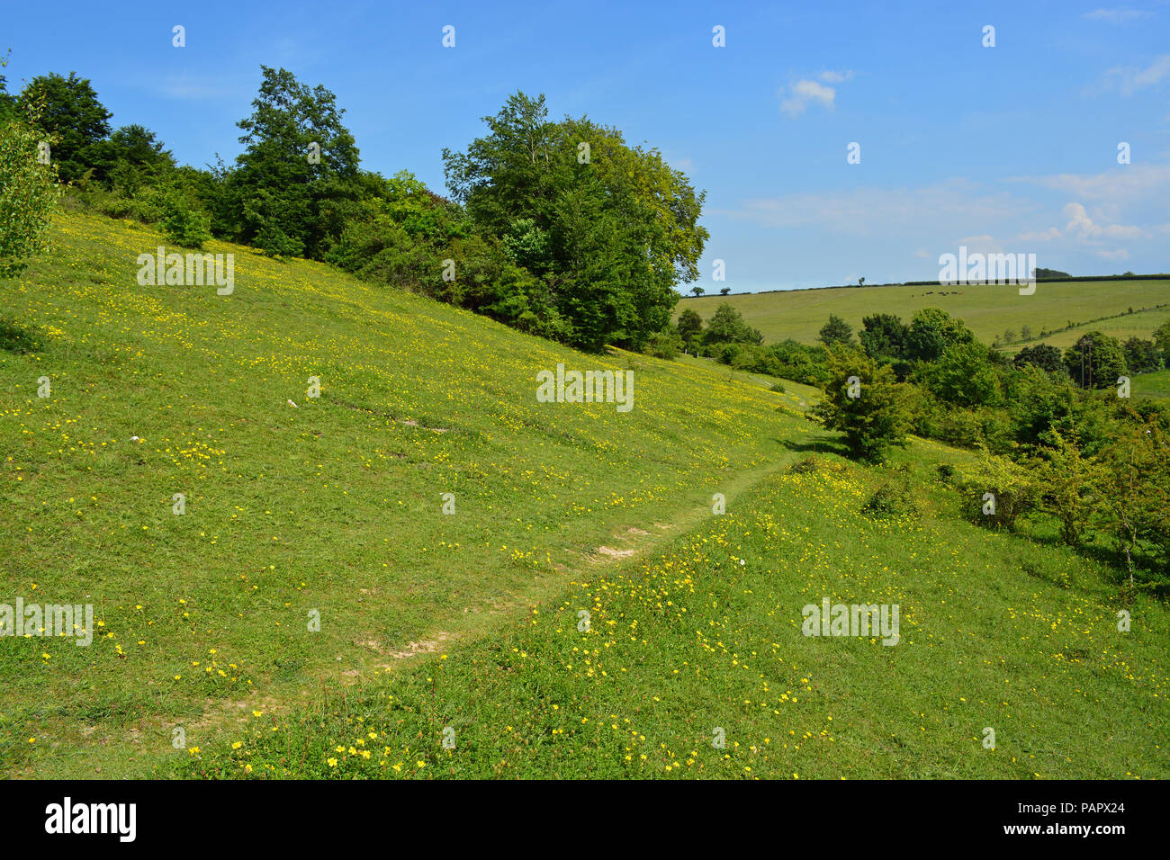Queendown Warren, Stockbury, Kent Banque D'Images