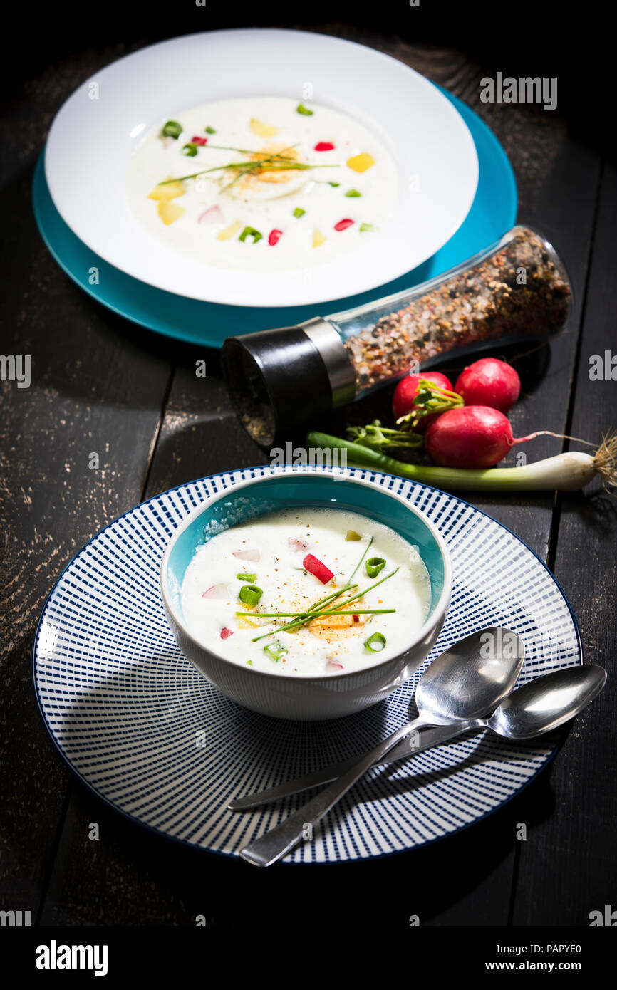 Soupe froide, le babeurre crème aigre soupe de pommes de terre avec des oeufs, radis, oignon de printemps Banque D'Images