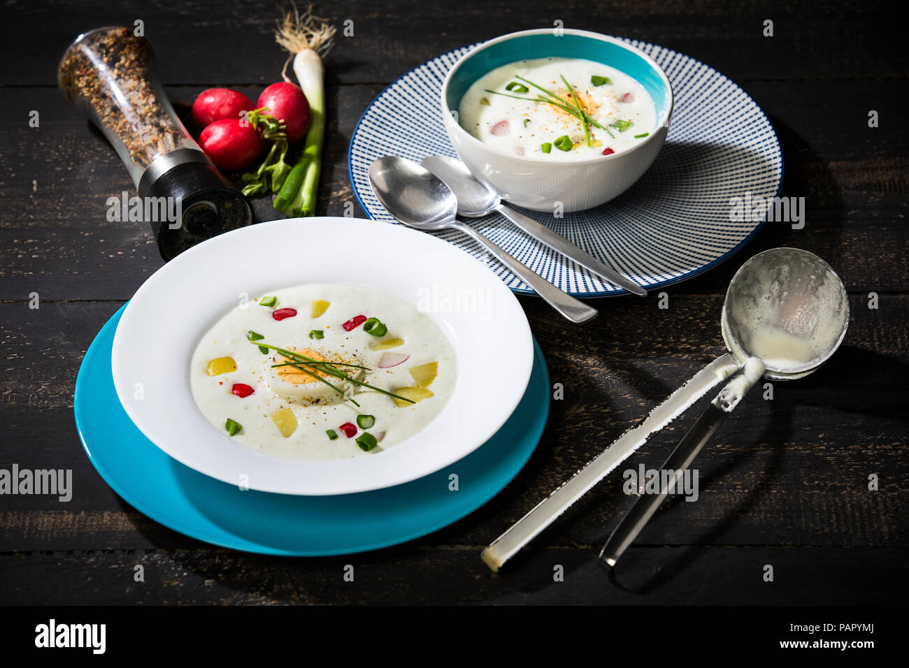 Soupe froide, le babeurre crème aigre soupe de pommes de terre avec des oeufs, radis, oignon de printemps Banque D'Images