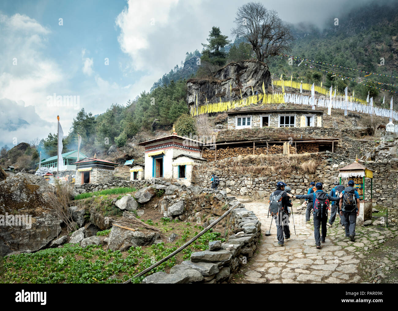 Solo Khumbu, Népal, Everest, Sagamartha National Park, groupe de personnes qui visitent le parc national Banque D'Images