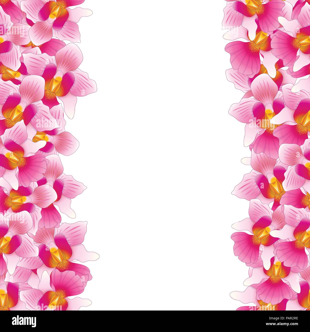 Vanda Miss Joaquim Orchid rose frontière. Fleur nationale de Singapour. Vector Illustration. Illustration de Vecteur