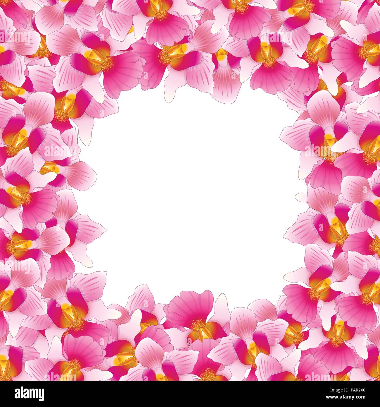 Vanda Miss Joaquim Orchid rose frontière. Fleur nationale de Singapour. Vector Illustration. Illustration de Vecteur