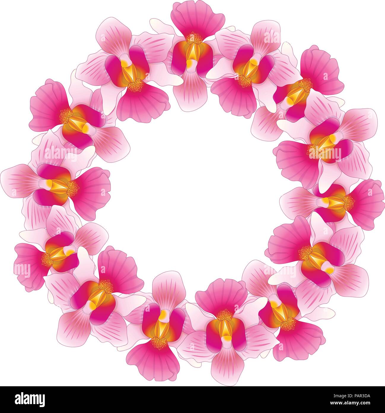 Vanda Miss Joaquim Orchid rose guirlande. Fleur nationale de Singapour. Vector Illustration. Illustration de Vecteur