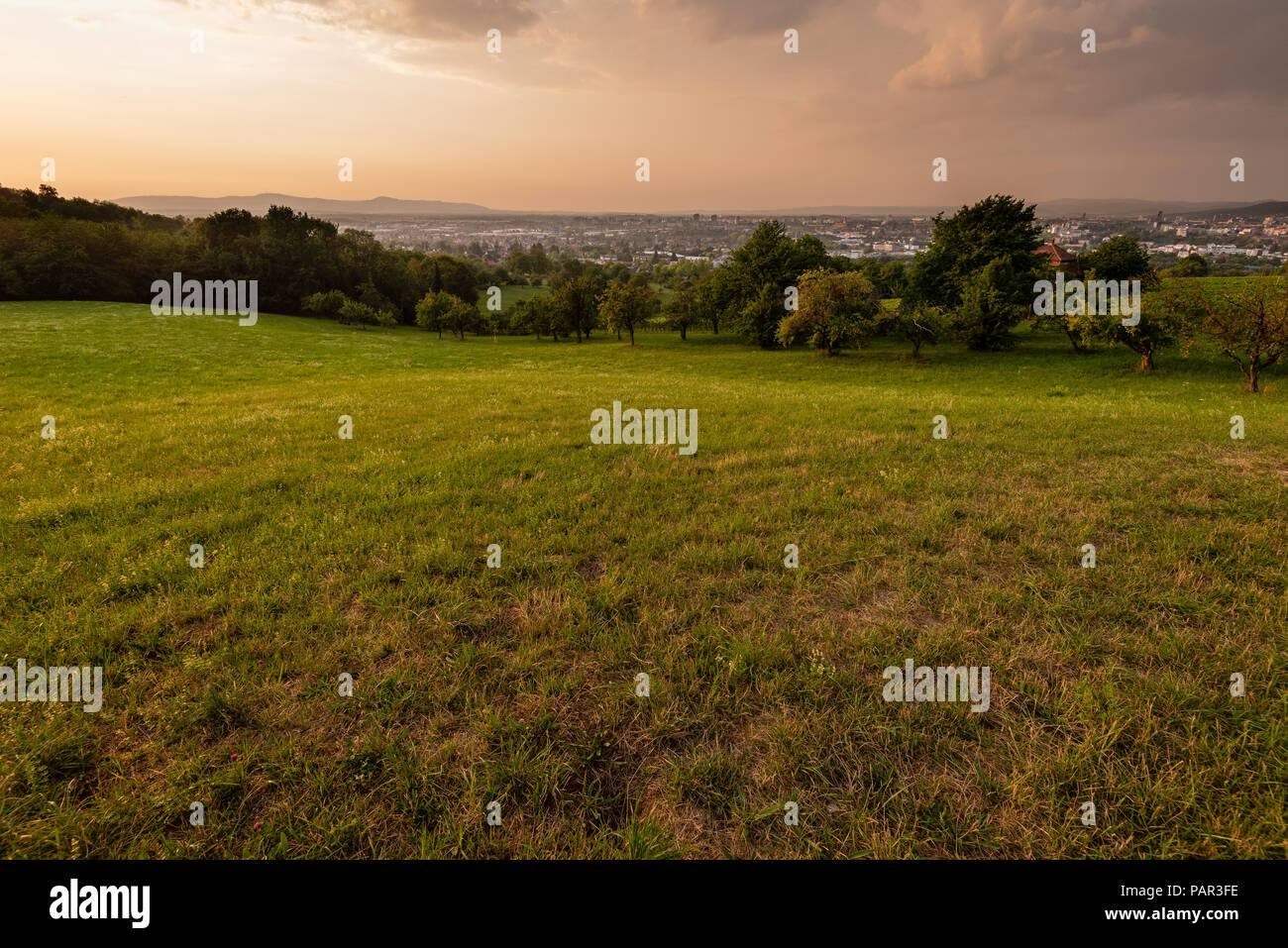 Coucher de soleil sur Freiburg im Breisgau, Allemagne en été. Banque D'Images