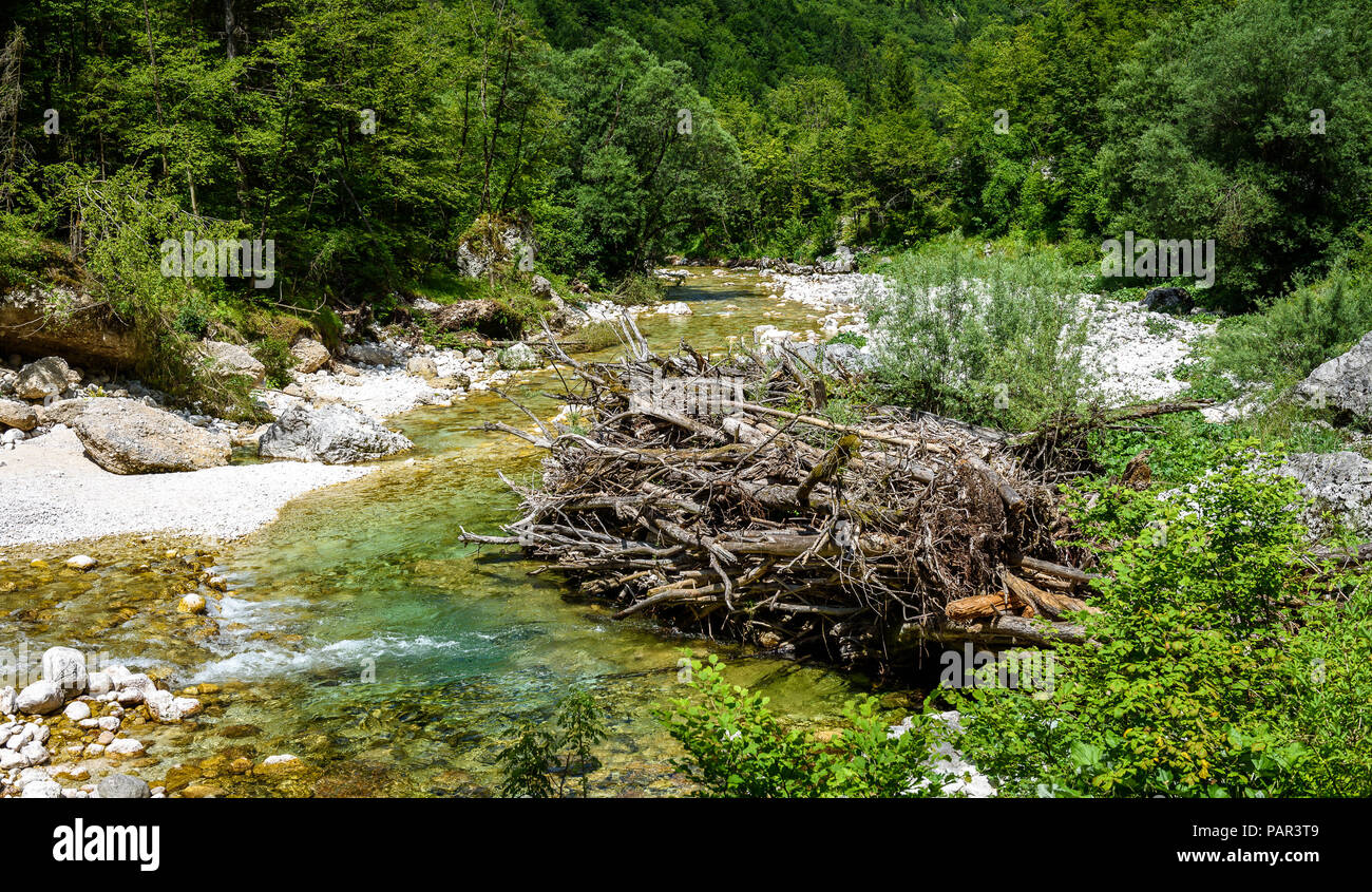 Dans la rivière de montagne idyllique Lepena valley, Soca - Bovec Slovénie. Barrage en bois empilées ressemblant à Beaver Dam sur la rivière Lepenca. Belle scène de paysage Banque D'Images