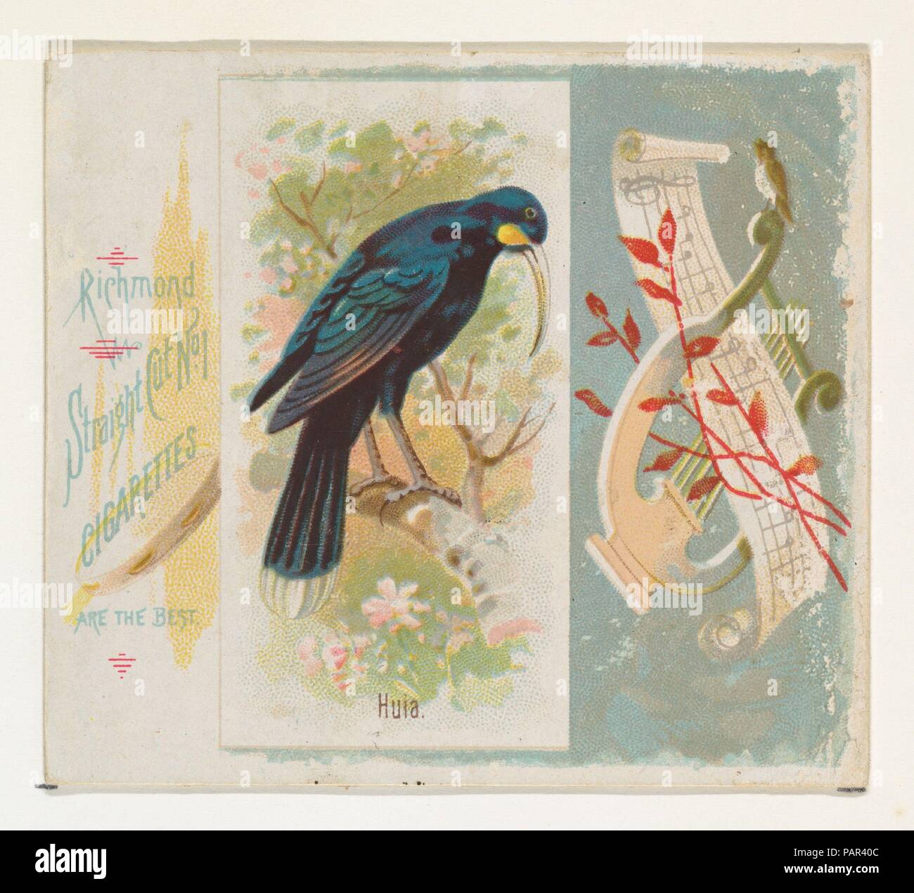 L'évaluation de l'impact humain, du chant des oiseaux de la série mondiale (N42) pour Allen & Ginter Cigarettes. Fiche Technique : Dimensions : 2 7/8 x 3 1/4 in. (7,3 x 8,3 cm). Lithographe : George S. Harris & Sons (Américain, Philadelphie). Editeur : Publié par Allen & Ginter (Américain, Richmond, Virginie). Date : 1890. Les grandes cartes de la 'chant oiseaux du monde" (N42), publié en 1890 dans un jeu de 50 cartes pour promouvoir Allen & Ginter cigarettes d'une marque. Série N42 reproduit les cartes à partir de la N23 dans un format plus grand. Musée : Metropolitan Museum of Art, New York, USA. Banque D'Images