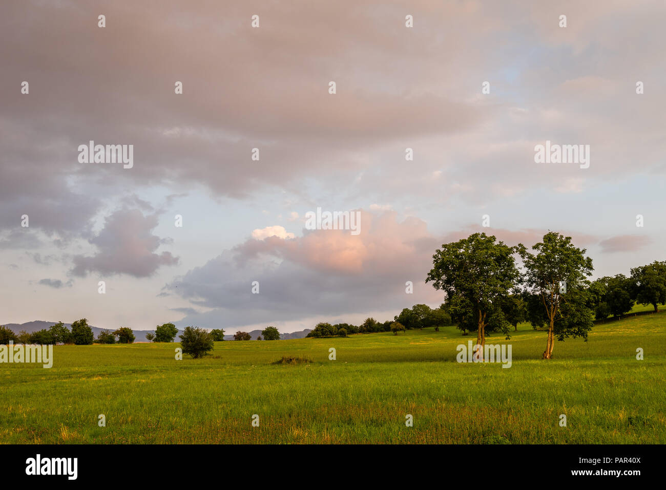 Coucher de soleil sur Freiburg im Breisgau, Allemagne en été. Banque D'Images