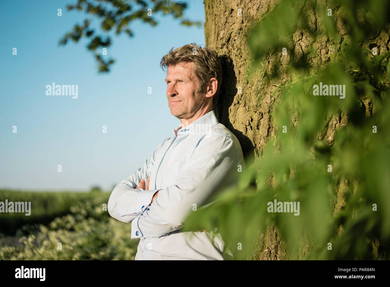 Businessman leaning on tree Banque D'Images