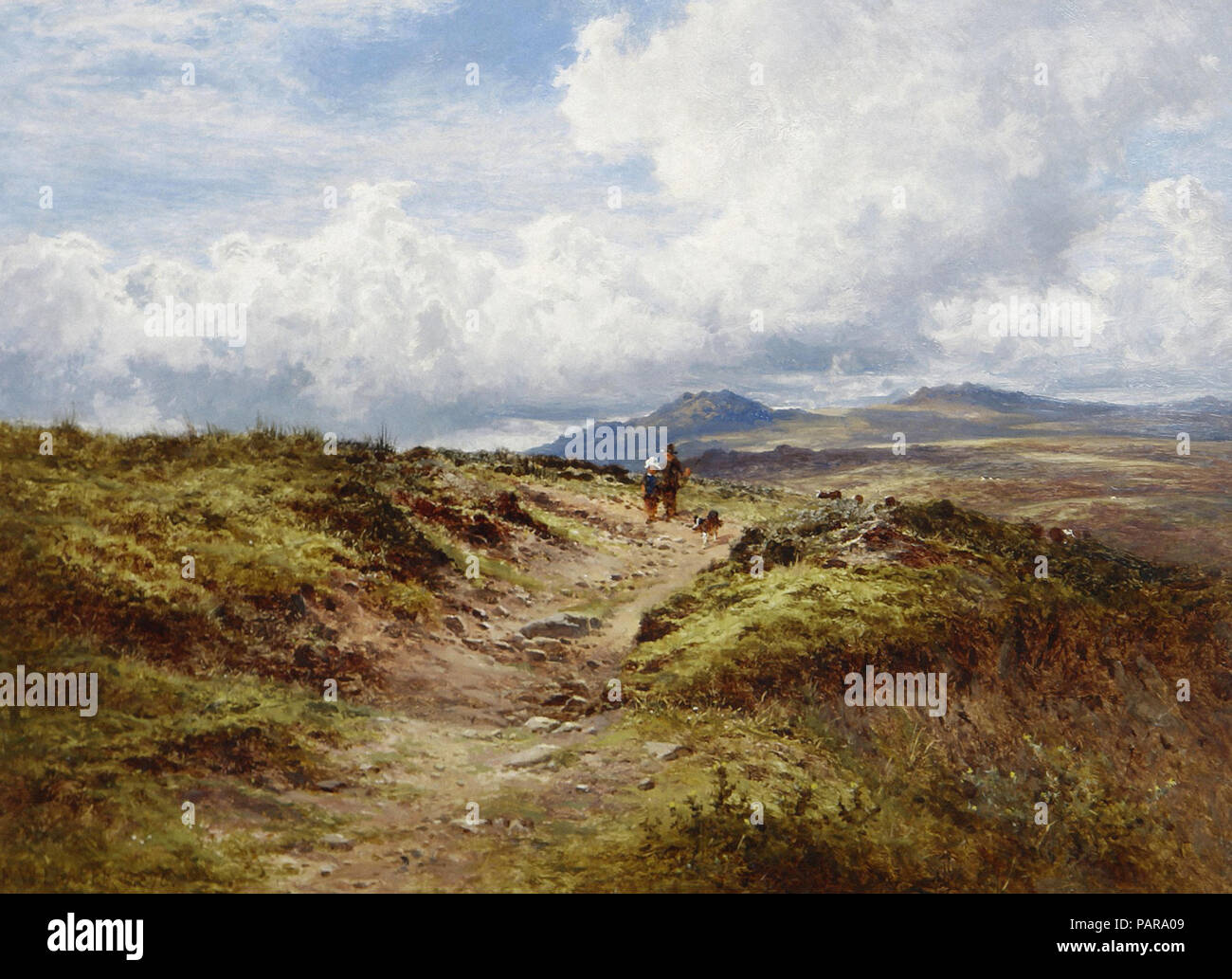 Benjamin Williams Leader - Vue du Dartmoor Banque D'Images