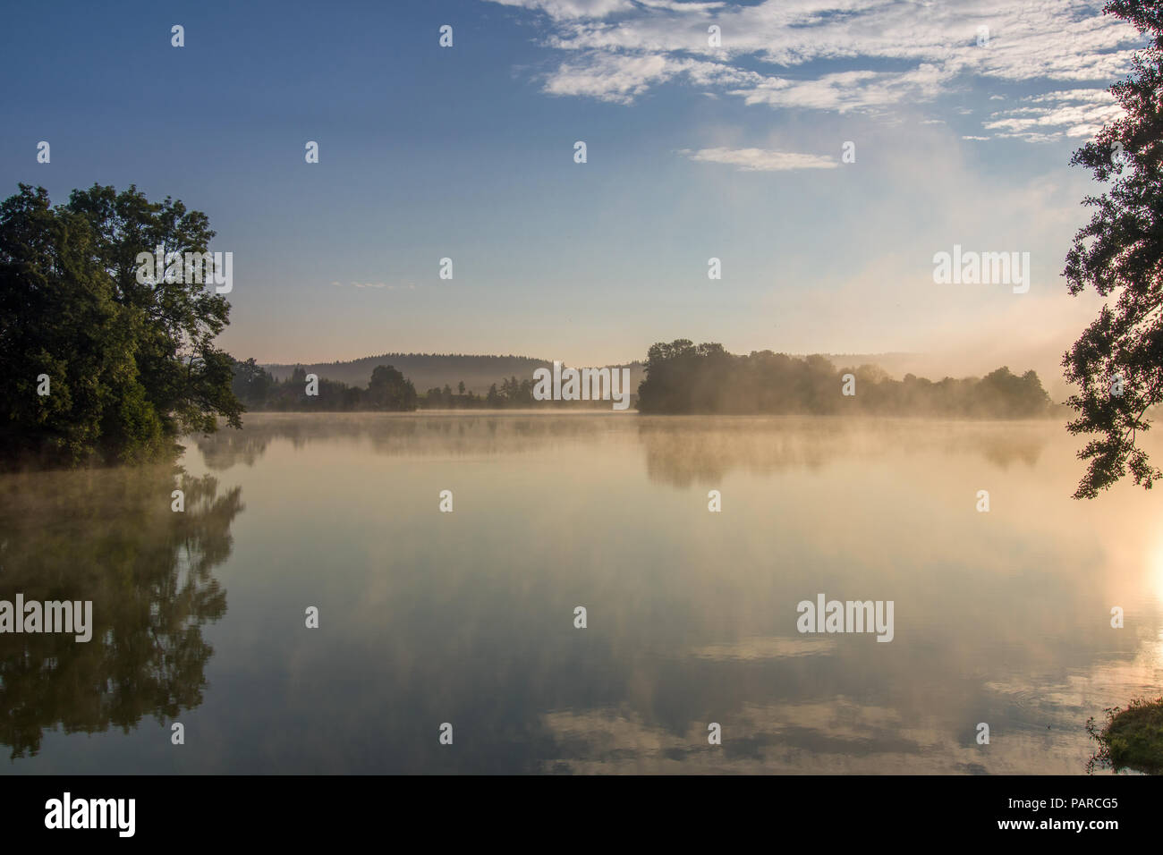 Tôt le matin à l'étang avec un film de brume Banque D'Images