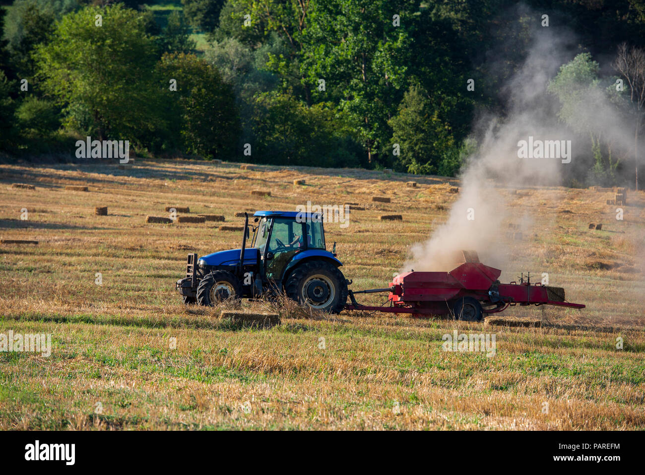 Presse à balles de foin, foin tracteur machine de travail de la presse, les terres agricoles de la mise en balles de travailler Banque D'Images
