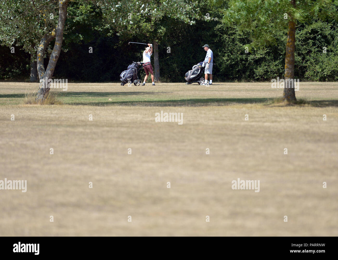 Les golfeurs prendre un coup sur l'herbe desséchée à Crondon Park Golf Course dans l'Essex, comme le temps chaud continue à travers le pays. Banque D'Images