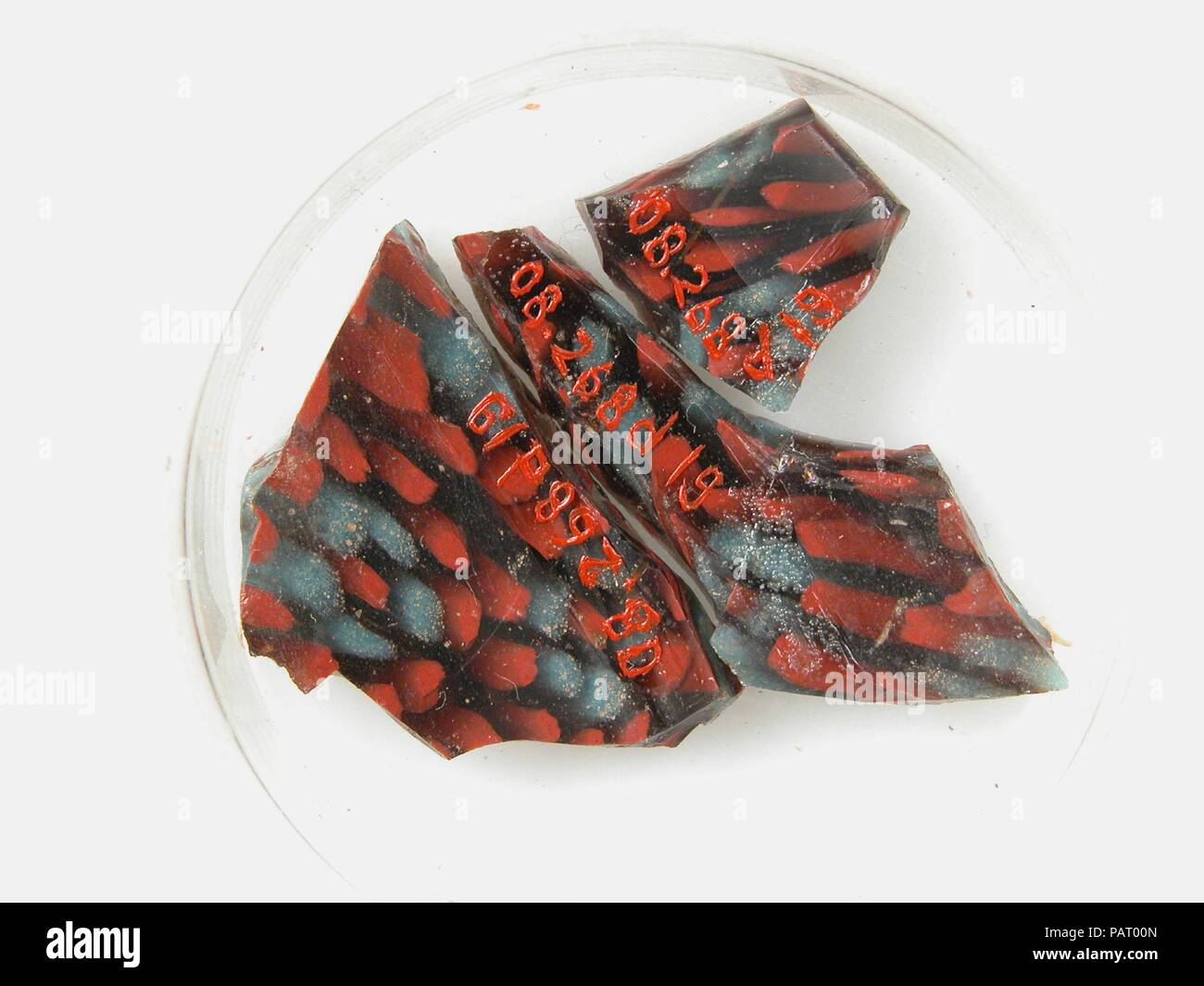 Des fragments de verre à partir d'un navire. Culture : le copte. Dimensions : Stockage (petri diam.) : 1 3/4 in. (4,4 cm). Date : 4ème au début du 5e siècle. Musée : Metropolitan Museum of Art, New York, USA. Banque D'Images