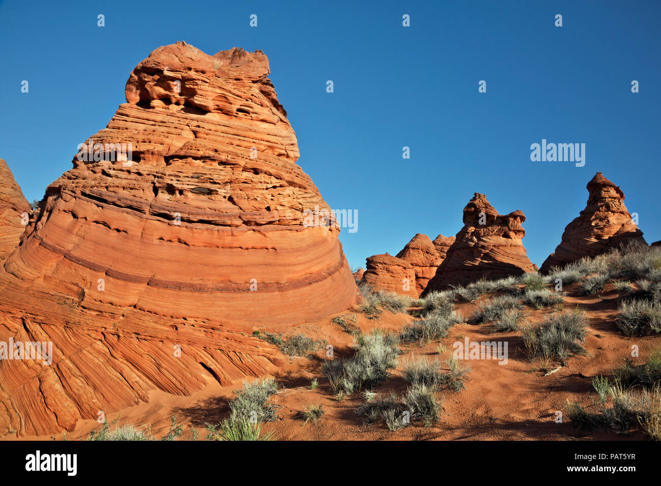 AZ00179-00...ARIZONA - ruche à buttes près du trou de la patte Point d'accès pour le Coyote Buttes South section du Vermillion Cliffs Mon National Banque D'Images