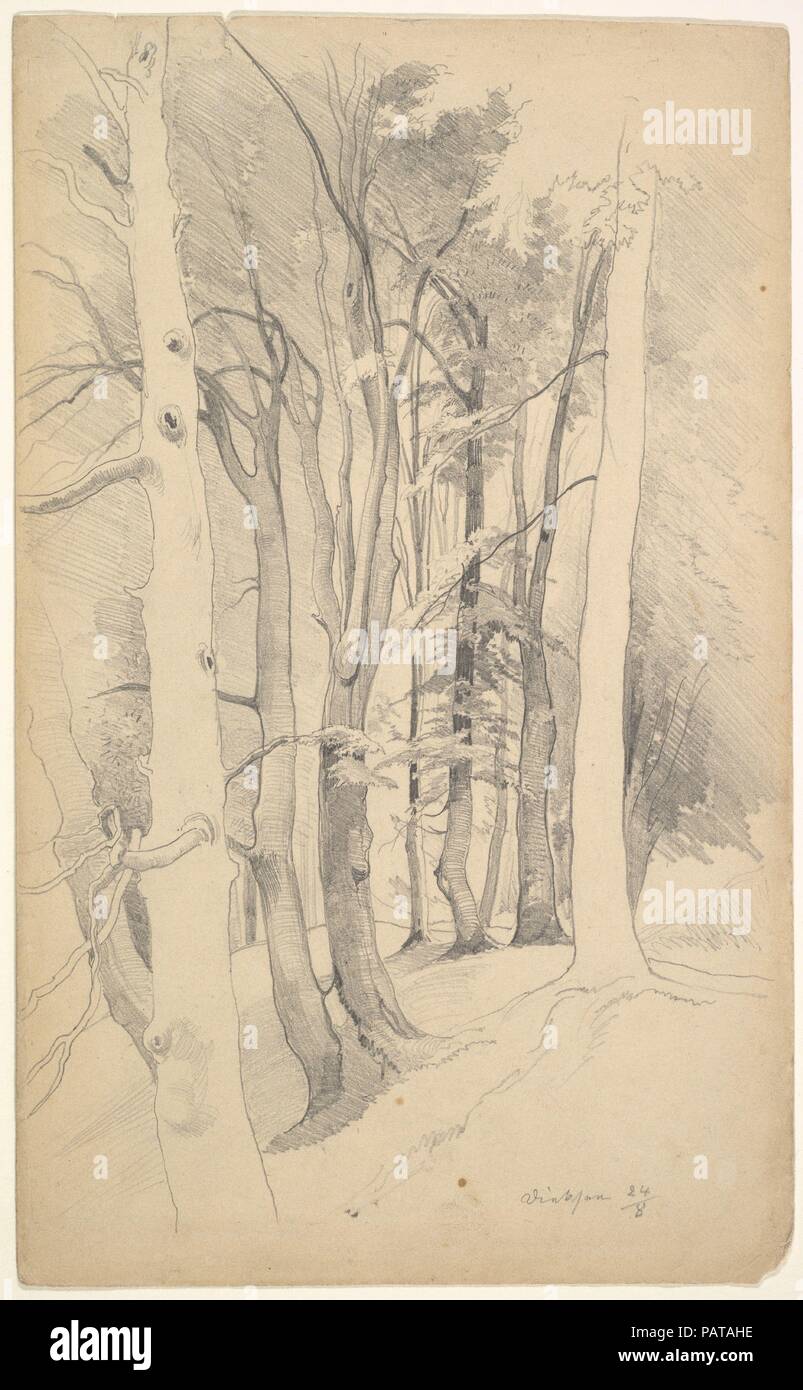 Des arbres près de Diessen. Artiste : Carl Maria Nicolaus Hummel (allemand, Weimar Weimar 1821-1907). Fiche Technique : Dimensions : 10 5/8 x 6 1/2 in. (27 x 16,5 cm). Date : milieu du xixe ou début du xxe siècle. Musée : Metropolitan Museum of Art, New York, USA. Banque D'Images