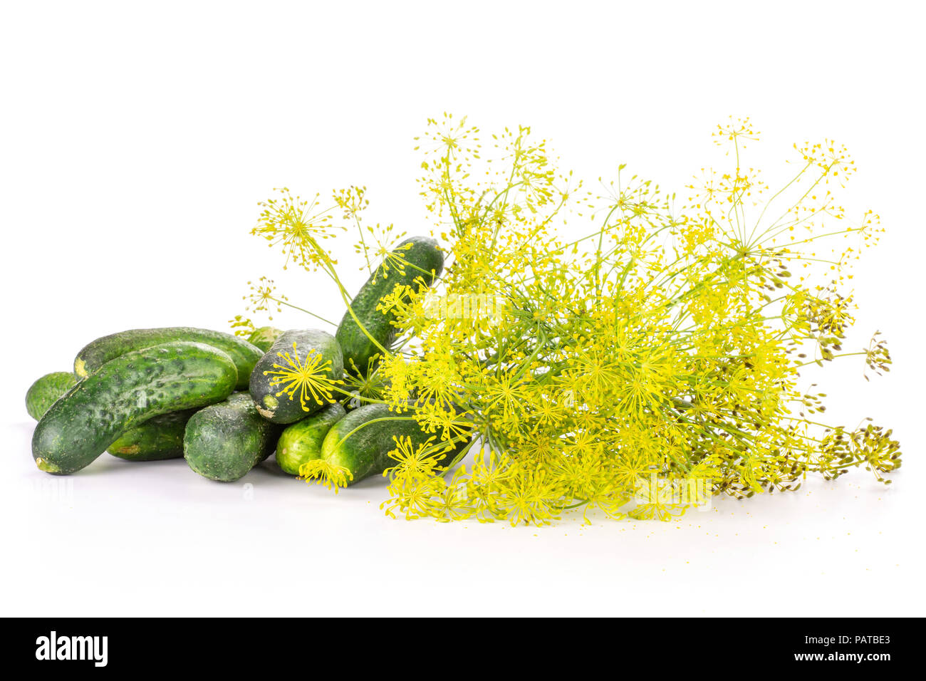 De nombreuses fleurs jaune frais entier de l'aneth et tas de concombres isolated on white Banque D'Images