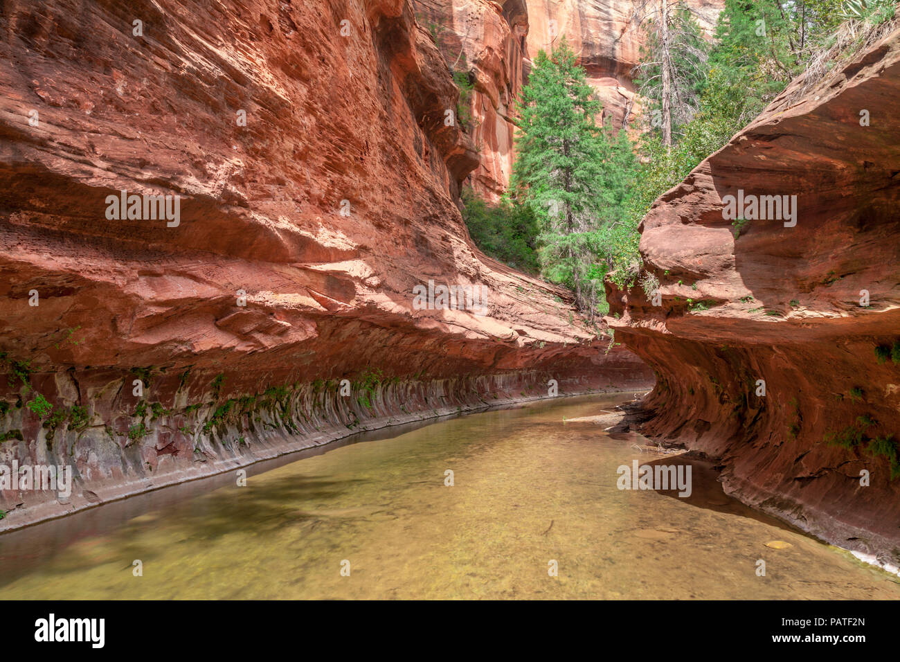 Oak Creek Canyon en grès, Sedona, Arizona, USA Banque D'Images