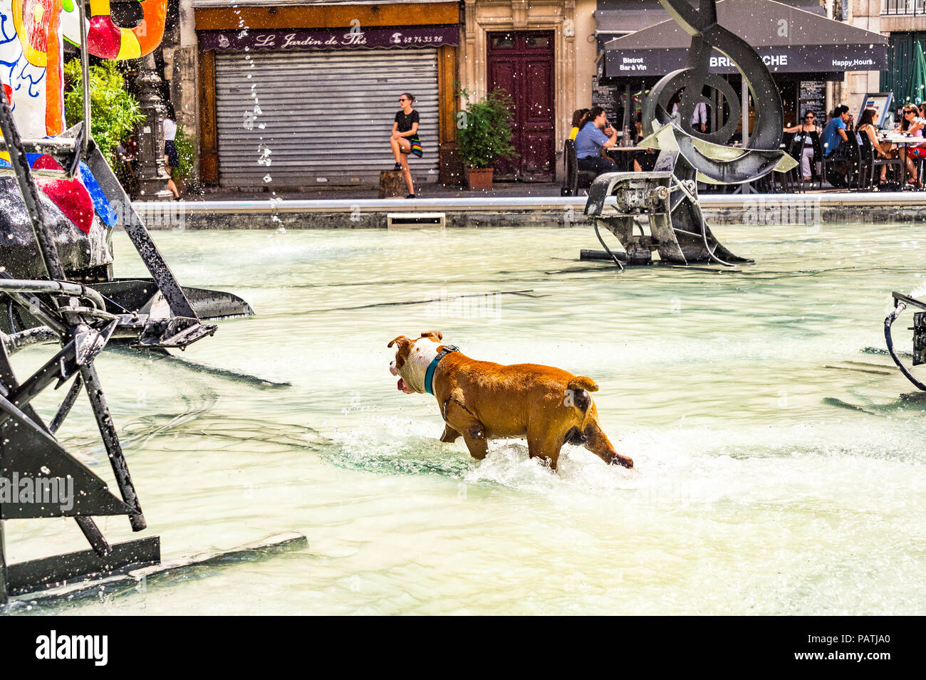Un chien joue dans la Fontaine Stravinsky, à côté du Centre Pompidou, Paris, France Banque D'Images
