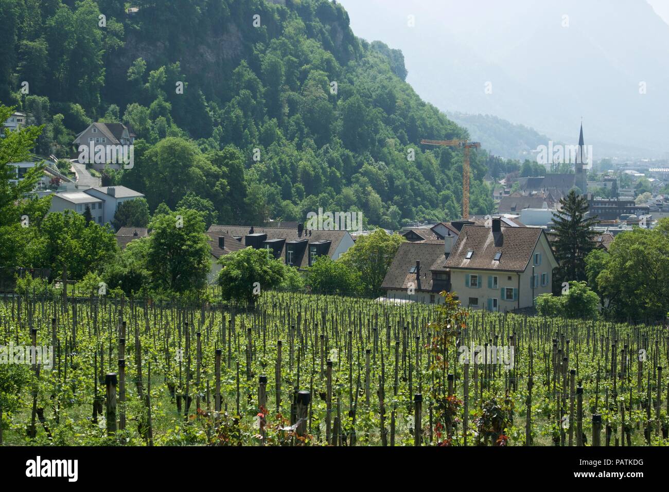 Autour de Liechtenstein Banque D'Images