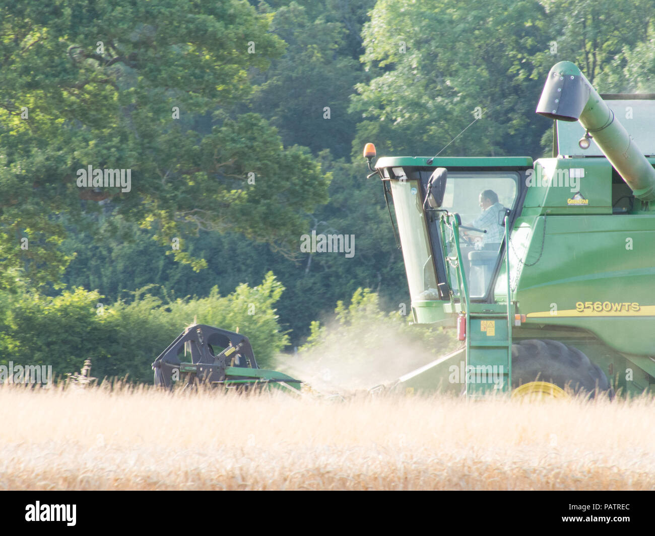 Une récolte précoce, Juillet, Wiltshire, Moissonneuse Batteuse Banque D'Images