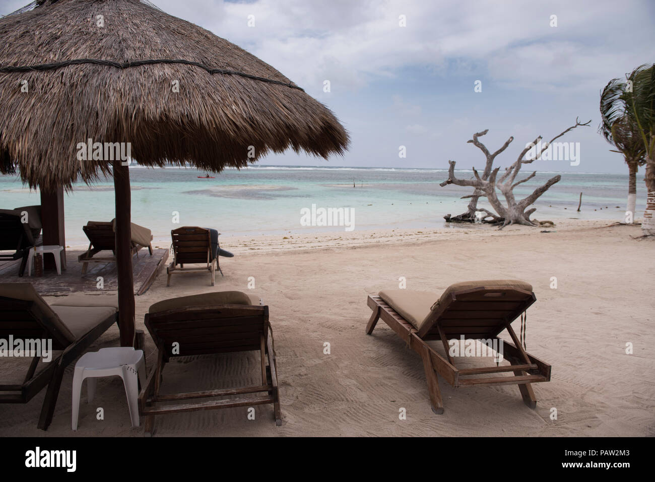 Vue paisible en Caraïbes mexicaines, bleu océan, d'un arbre et d'un kayak Banque D'Images