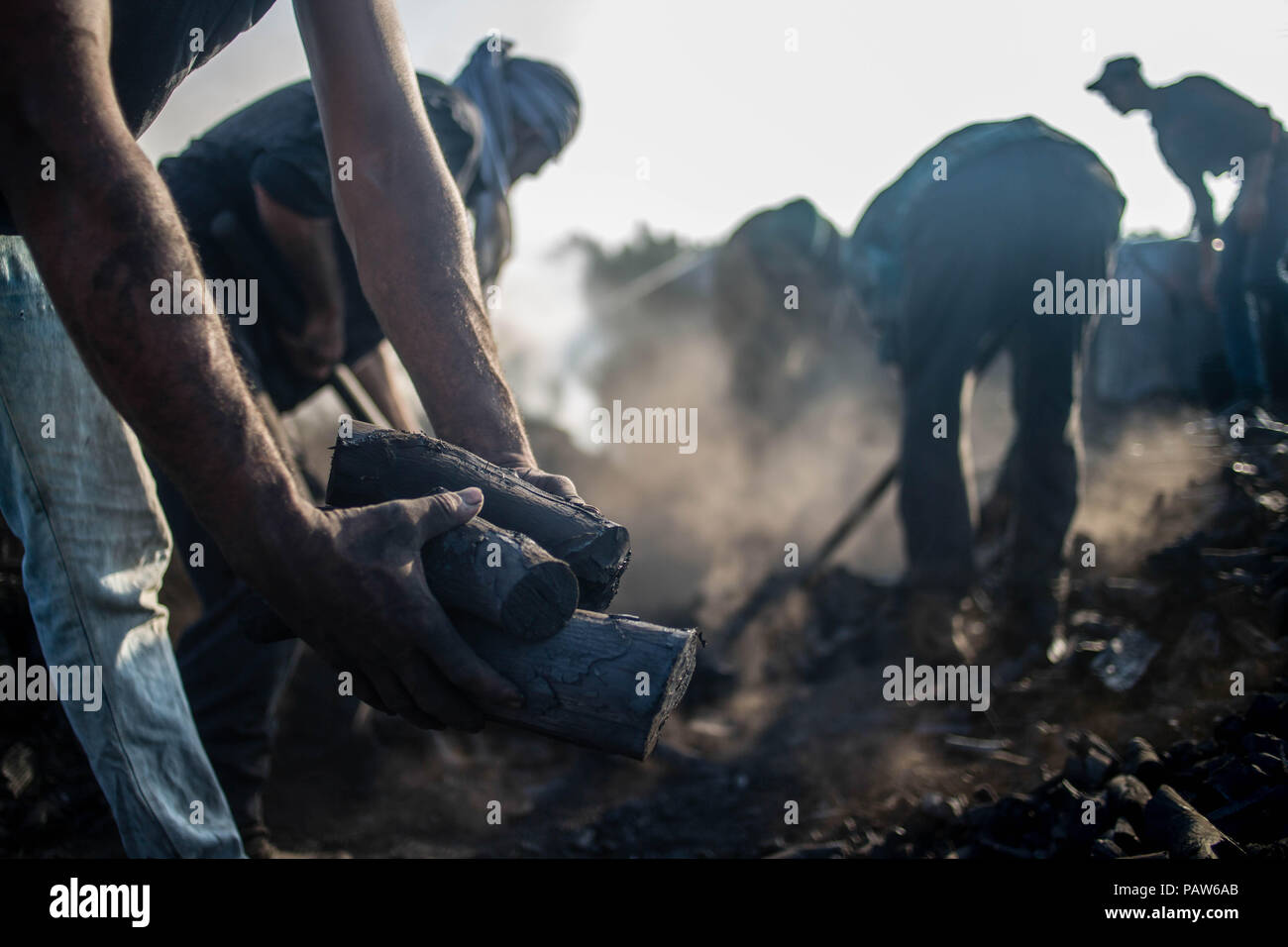 La ville de Gaza, en Palestine. 18 juillet, 2018. Un travailleur palestinien vu la tenue du charbon de bois dans ses mains à l'installation d'extraction de charbon.de Sand à l'Al Habbash usine de production, le plus grand producteur de charbon dans la bande de Gaza. Il est habituellement utilisé par les Palestiniens pour des raisons pratiques, telles que la cuisine et le chauffage. Un kilo est vendu pour $ 1,50 2,00 $ sur place et sur le marché. Credit : Mahmoud Issa/SOPA Images/ZUMA/Alamy Fil Live News Banque D'Images