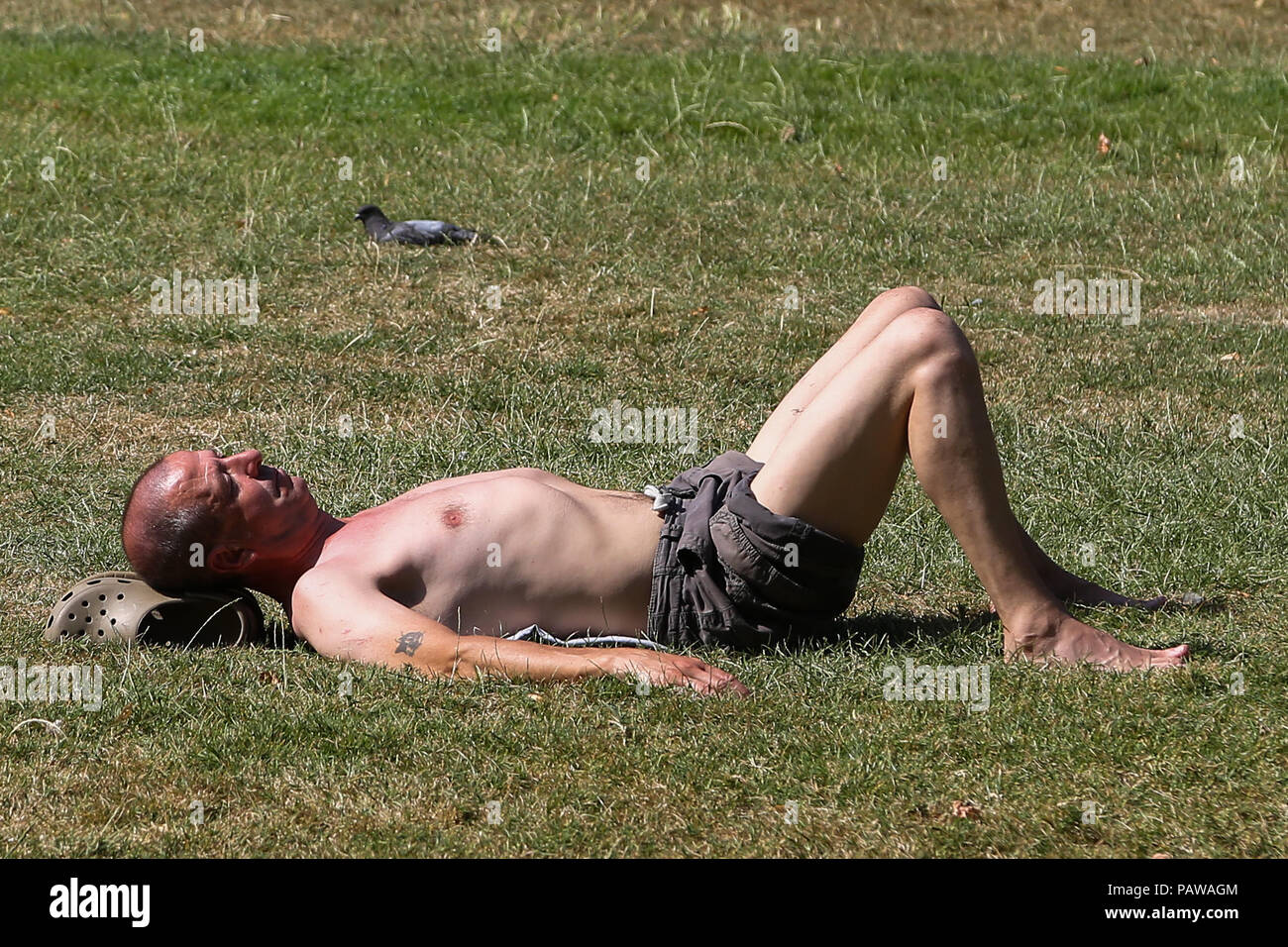 Hyde Park. Londres. UK 25 Juillet 2018 - Un homme de soleil à Hyde Park sur une journée très chaude et humide dans la capitale. D'après le Met Office la température de Londres et du sud-est est susceptible d'atteindre 35 degrés celsius le jeudi. Credit : Dinendra Haria/Alamy Live News Banque D'Images